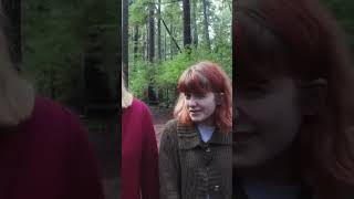 Skating Polly - Trecho da música "Perfume For Now"