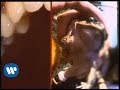 The Flaming Lips - Frogs [Official Music Video ...