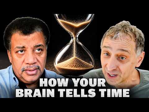 A Neuroscientist Explains How Time Works in the Brain