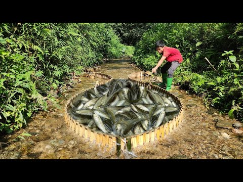 Full video 28 days boy Lam shows his fishing skills in the stream and catches a lot of fish.