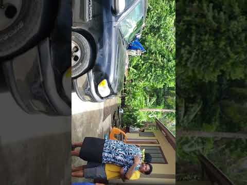 Farewell Fa'amanatu & Gladys