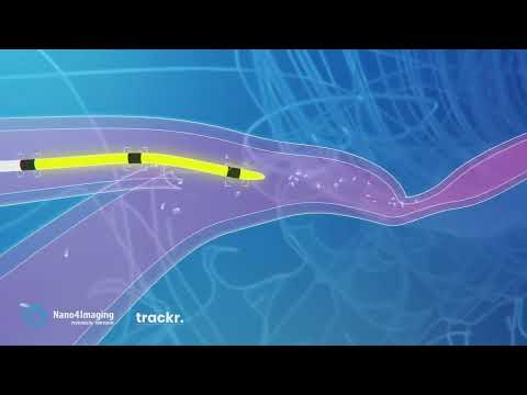 Rudolf Schulze Vohren, Nano4Imaging GmbH - MRI Guided Imaging Agents | LSI Europe '25