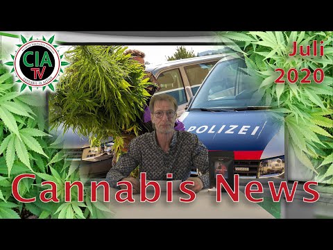 CannaNews Juli 2020 - Österreich, Irrtümliche Razzien, Brokkoli, USA, Hanf-Kornkreis
