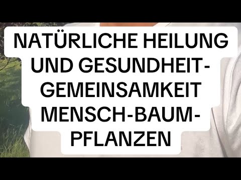 GESUNDHEIT & HEILUNG - ES GEHT IMMER UM ENERGIE - GEMEINSAMKEIT MENSCH - BÄUME & PFLANZEN