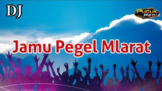 Download lagu DJ JAMU PEGEL MLARAT Horeg Slow Bass Pucuk Pedia R... mp3