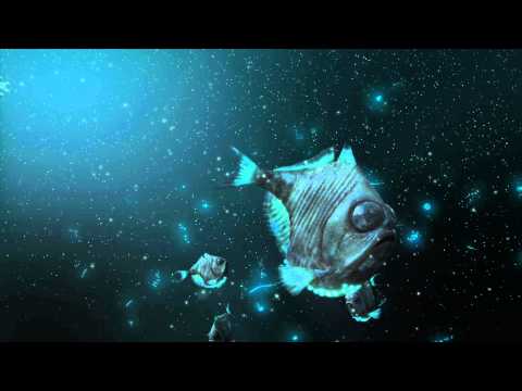 Deep Ocean Experience 3D - TRAILER