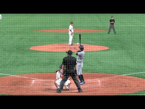 経営学科 イチロー、打席の立ち姿が美しい。現役引退宣言直前の巨人戦。2019年3月17日シアトル・マリナーズ対巨人＠東京ドーム。イチロー第３打席、ショート坂本へのゴロ