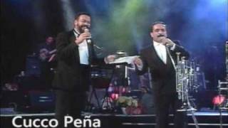 IDILIO. WILLIE COLON EN EL ROBERTO CLEMENTE P.R. 1993.wmv