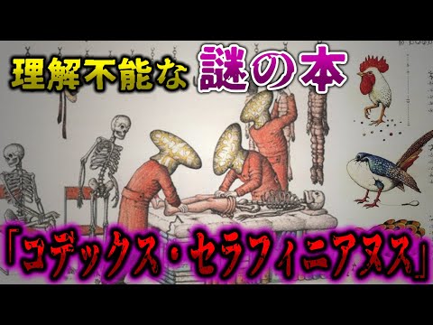 エピシヌス・アフィニス