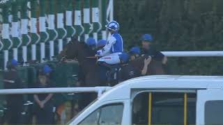 Download the video "17:30 Wolverhampton 06-10-25"