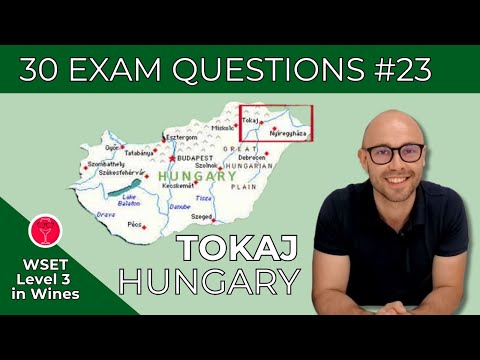 TOKAJ Hungary: 30 WSET Level 3 in Wines Exam Questions | Thirsty and Wise I Video #23