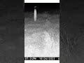 A Real Ghost?  Caught on a Trail Cam
