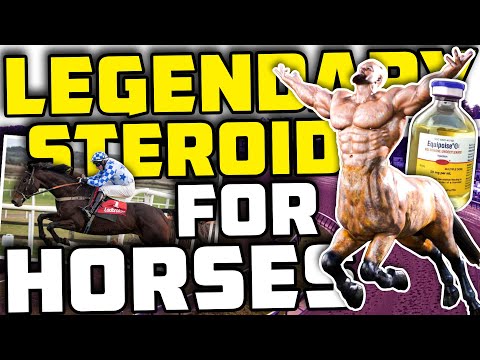 LEGENDARY Steroid For Horses - What It Feels Like To Be On Equipoise