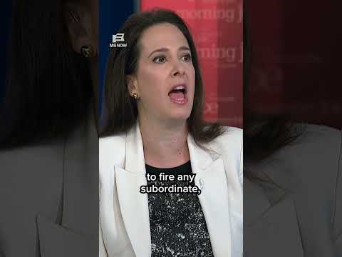 ‘Scary’: Lisa Rubin on SCOTUS ruling allowing Trump to fire agency heads