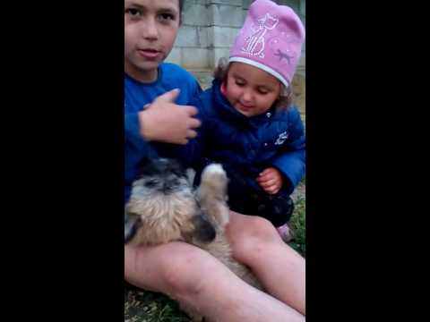 Si lu Evelina îi place de Barsic:*