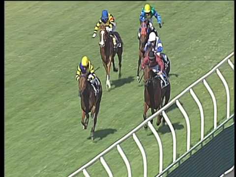 Galoppo 21/06/2017 - 3ª corsa