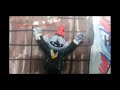 Sesame Street Count It Higher Great Music Videos From Sesame Street