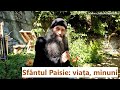 Sfântul Paisie Viața Minuni Părintele Pimen Vlad