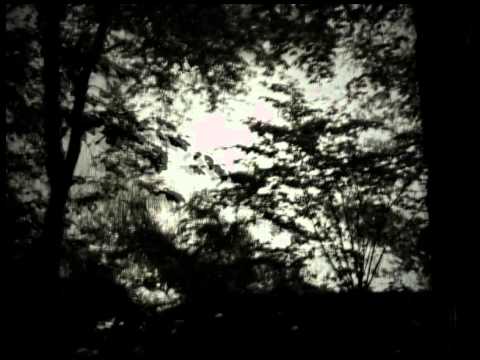 Françoiz Breut - Werewolf [OFFICIAL VIDEO]