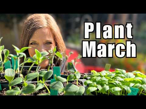 What to Plant in March - Northern, Mid-Zone & Southern Gardens