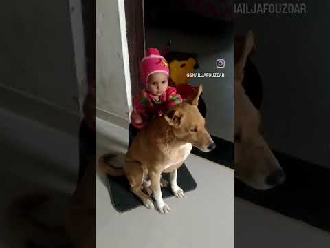 dor tuj se m #short#shailja