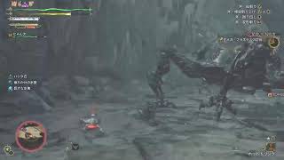 モンスターハンターワイルズ　気楽に気ままに