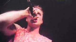 Dog Fashion Disco   Nude In The Wilderness 256