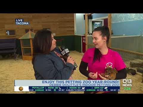 Enjoy this petting zoo all year round