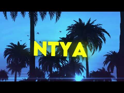 Dimé Tahar - NTYA ( Official Lyrics Vidéo )