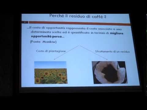 Lacrime dei legamenti del ginocchio nei cani Ginocchio doa laurea congiunto di cosa si tratta