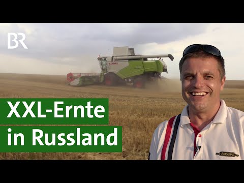, title : 'Getreide-Ernte auf riesigen Feldern in Russland | Unser Land | BR Fernsehen'