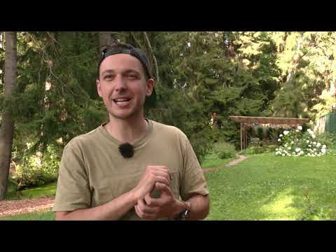 Norman Salumäe Nõmme seikluspargis