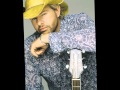 Toby Keith - Tryin to fall in love