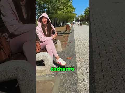 Será que cachorros reconhecem seus donos na rua? 😳