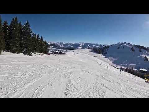 Piste/Slope 64 Osthangbahn - SkiWelt Scheffau