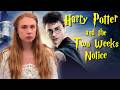 I quit my job because of Harry Potter