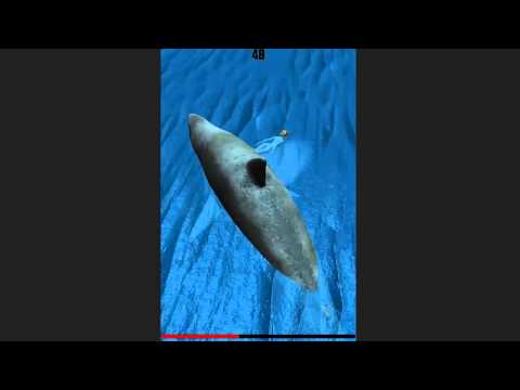 SharK Water Survival Video