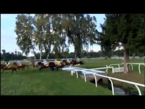 121. Velká Pardubická 2011 - Grand steeplechase Pardubice 2011