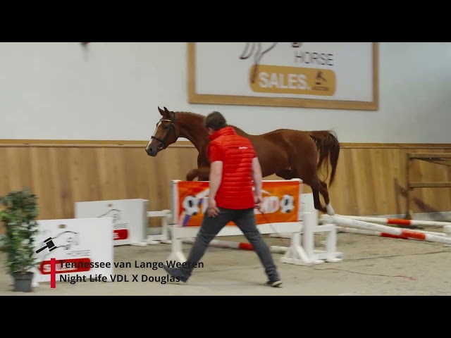 Tennessee van Lange Weeren