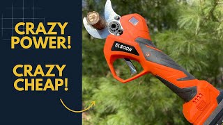 Are These Battery-Powered Pruners Worth It?