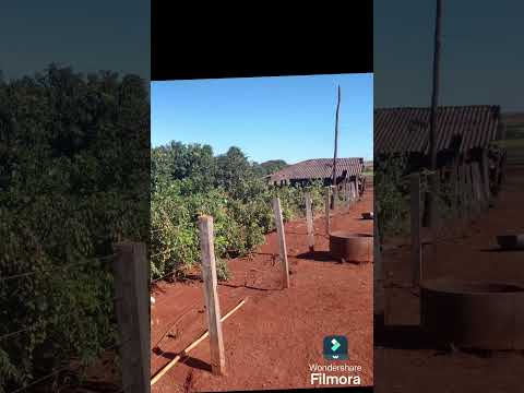 500 hectares em monte alegre de minas gerais MG