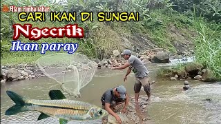 Download lagu NGECRIK IKAN DI SUNGAI TENGAH HUTAN mp3