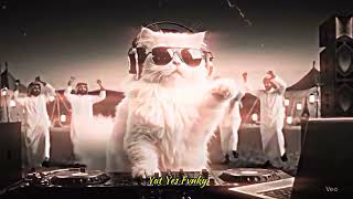 Download lagu DJ ASMARA KERINDUAN REGGAE VERSION Meydarahma  MAKIN LAMA MAKIN ENAK VIRAL TIKTOK 2025 mp3