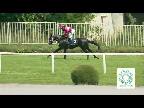 Dostihy Chuchle Arena Praha 25. 6. 2023 - 3. dostih - 20. Tattersalls Mile