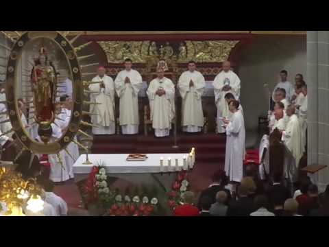 JKS 238 - Bože, svetov mocný Pane (kňazská vysviacka 2016)