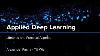 Applied Deep Learning 2024 - Lecture 5 - Libraries and Practical Aspects