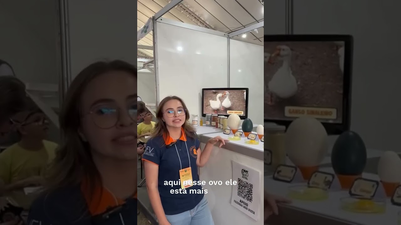 🐔🥚🍳 Você sabe o que pode alterar a coloração da gemas dos ovos? Conheça agora #agro #zootecnia #gema