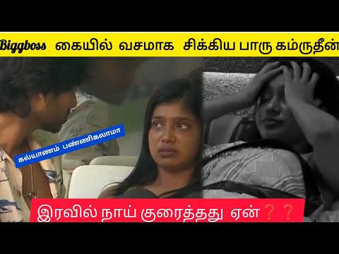 Bb கண்டித்த பாரு கம்ருதீன் biggboss season 9 tamil troll #trending #hyped #biggboss #biggbosstamil 
