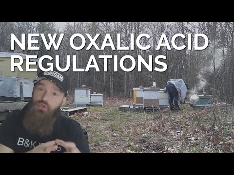 New Laws Regarding Oxalic Acid With Honey Supers | Big News!