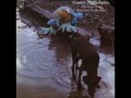 Goose Creek Symphony - Do Your Thing But Don't Touch Mine